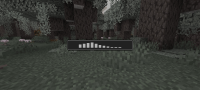 Screenshot_20241204_172459_Minecraft.jpg