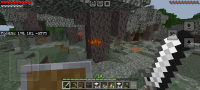 Screenshot_20241213_004705_Minecraft.jpg