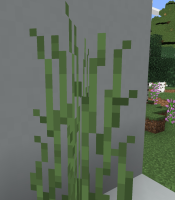 grass.jpg