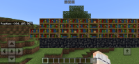 Screenshot_20241228-165115_Minecraft.jpg