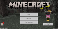 Screenshot_20241229_112549_com.mojang.minecraftpe.jpg