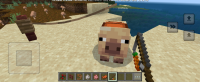 Screenshot_20250111_093242_Minecraft.jpg