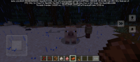 Screenshot_20250111_100358_Minecraft.jpg