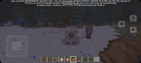 Screenshot_20250111_100403_Minecraft.jpg
