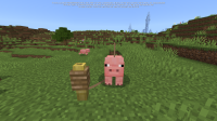 MCPE-189712.png