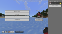 Custom Skins or Skinpacks.png