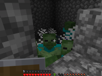bug2.png