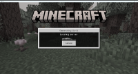 Minecraft 1_11_2025 6_39_52 PM.png