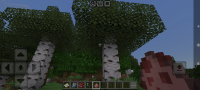 Screenshot_2025-01-13-17-59-11-049_com.mojang.minecraftpe.jpg