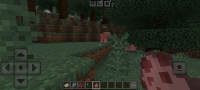 Screenshot_2025-01-13-17-58-49-828_com.mojang.minecraftpe.jpg