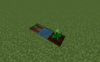 Before Component.png