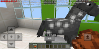 Screenshot_20250126-213043.jpg