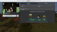 Marketplace Skinpacks.png