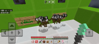 Screenshot_20250129_230636.jpg