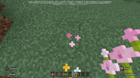 Minecraft Preview 1_30_2025 2_36_43 PM.png