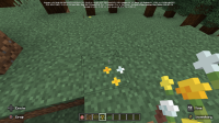 Minecraft Preview 1_30_2025 2_36_30 PM.png