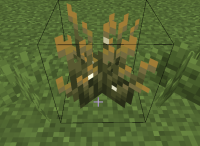 2025-01-31 144254.png