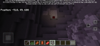 Screenshot_20250131_161854_Minecraft.jpg