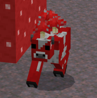 2025-02-01_210910.png