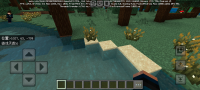 Screenshot_20250204_221013_com.mojang.minecraftpe.jpg