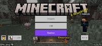 Screenshot_20250206_165715_com.mojang.minecraftbe.jpg