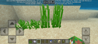 Screenshot_2025-02-06-15-20-45-848_com.mojang.minecraftpe.jpg