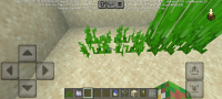 Screenshot_2025-02-06-15-20-32-654_com.mojang.minecraftpe.jpg