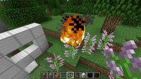 2014-05-16_15.54.28.png