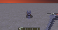 14w21b (dog collar).png