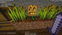 2014-06-01_04.19.32.png
