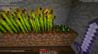 2014-06-01_04.19.36.png