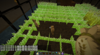 2014-06-01_14.17.46.png