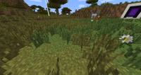 2014-06-19_18.11.16.png