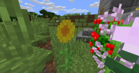 2014-06-30_12.36.34.png