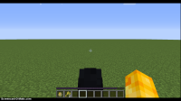 bug.gif