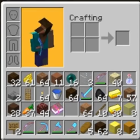 Steve skin bug.png