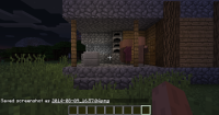 BLACKSMITH BUG - No Village 02.png