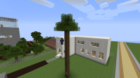 Tallest Tree From A Sapling.png