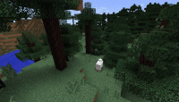 capture.gif