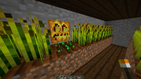 2014-08-21_03.03.13.png