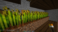 2014-08-21_03.03.18.png