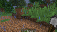 Tall grass glitch.png