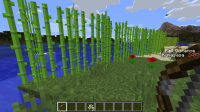 2014-09-10_11.07.30.png