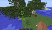 Growing Sugar Canes In Trees.png