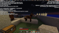 Stubborn Just Like a Mule.jpg
