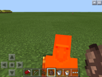image.jpg