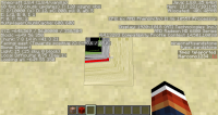 Texture bug second spot (1.8.4).png