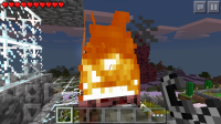 image.jpg