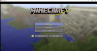 Window.JPG