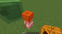 2015-07-30_18.02.37.png